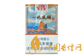 国外烟花作死搞笑视频