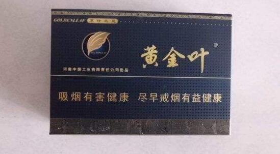 带狗野外烟熏老鼠视频